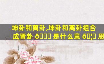 坤卦和离卦,坤卦和离卦组合成晋卦 🐒 是什么意 🦉 思